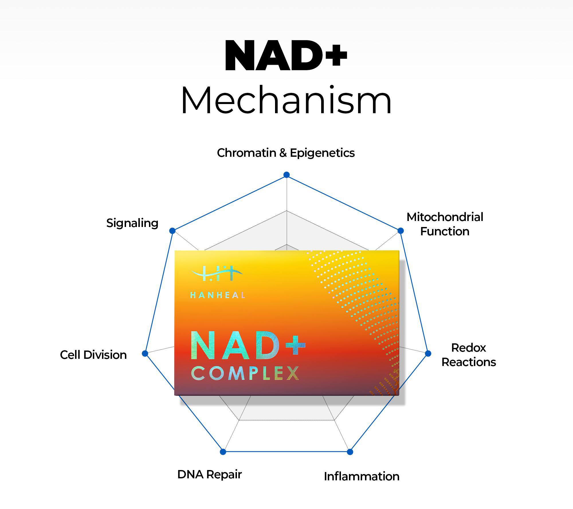 HANHEAL - NAD+ Complex Skin Booster Xq-VIP
