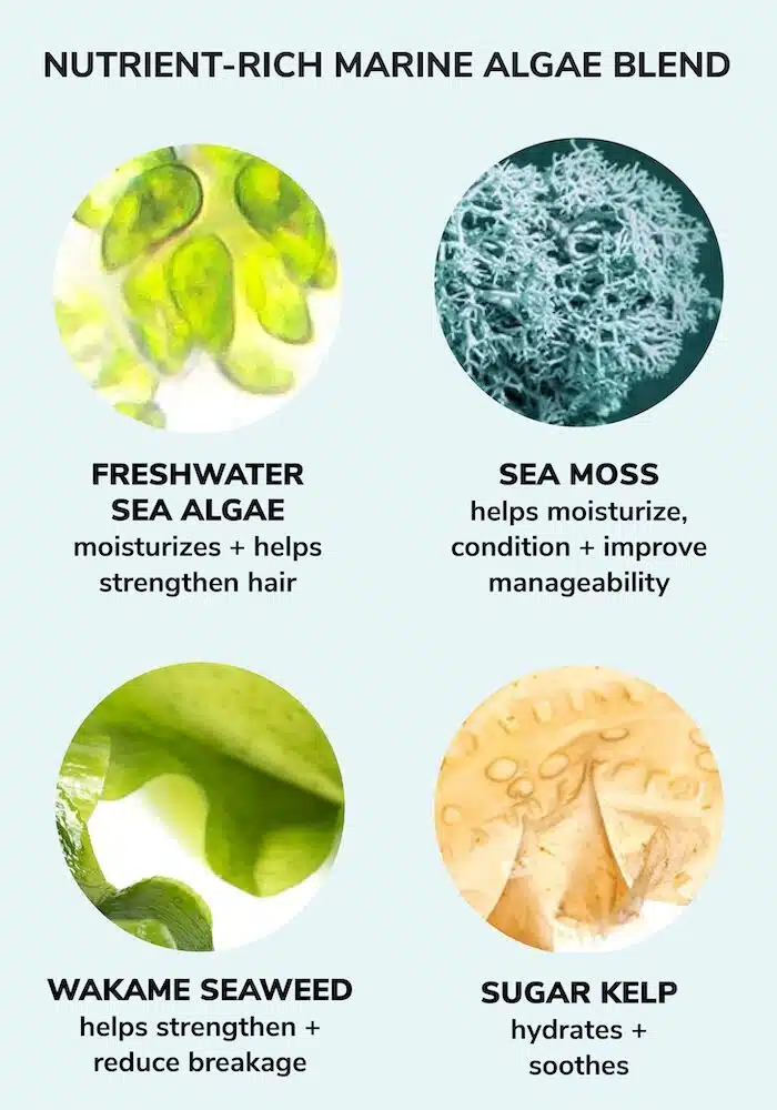 Color WOW - Money Laundering Glossing Conditioner - Image 4